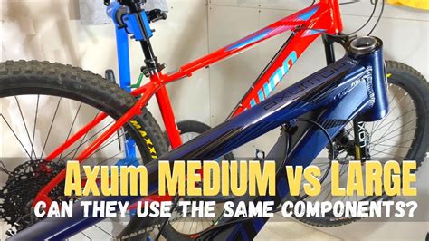 Schwinn Axum Medium Vs Large Frame Do The Spec Differences Affect Component Choice