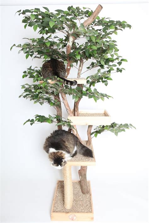Pin On Cat Tree
