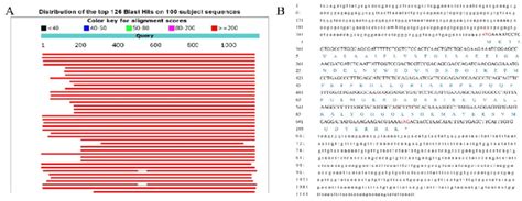 A Blast Search Of Ncbis Nucleotide Sequence Database Showing A