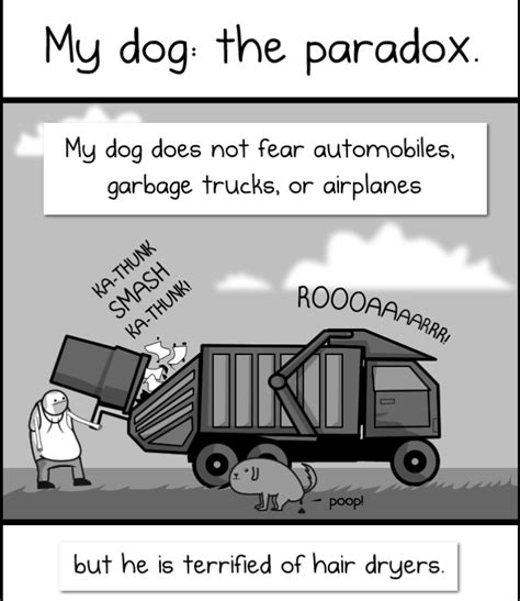 Insightful Comics About Those Weird Paradoxes In Your Dogs Life