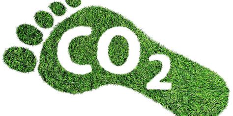 Understanding Your Carbon Footprint And Why It Matters Zero And Zen