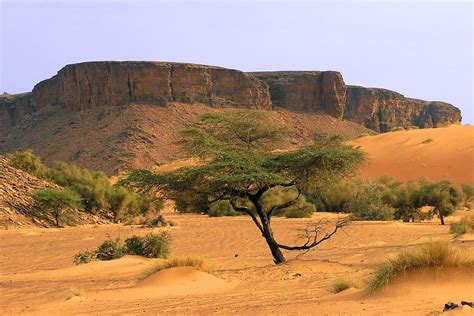 Mauritania is a country in northwest africa. Travel & Adventures: Mauritania ( موريتانيا ). A voyage to ...
