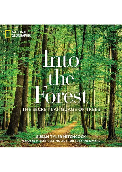 Into The Forest The Secret Language Of Trees Elysian Fields