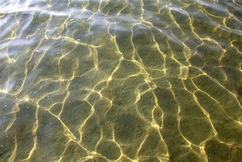 Water Surface With Reflections Photograph 1340273