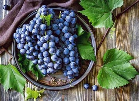 Anggur hitam sangat kaya vitamin dan mineral. Manfaat Anggur Hitam Untuk Kesehatan | Data Singapore ...