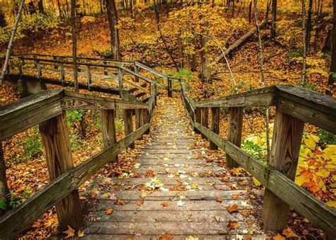 Fall Leaves Guide To Fort Wayne Indiana Visit Fort Wayne Lakeside