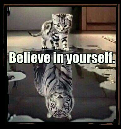 Over in the land of the free, people are burning shoes because a guy took a knee during the national anthem, and a shoe company used him as part. meme - believe in yourself kitten tiger | Pink Peyote ...