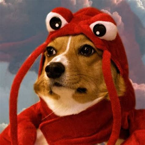 Lobster Dog Youtube