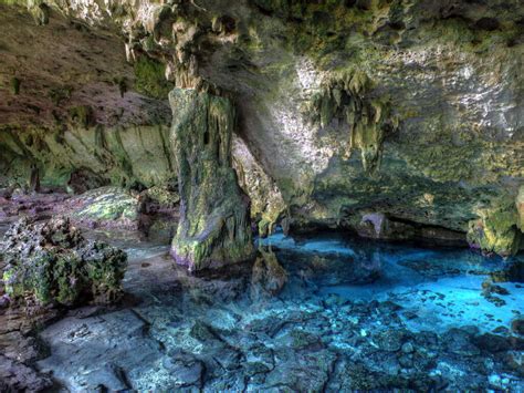 7 Of Riviera Mayas Best Cenotes Uniglobe Phillips Travel
