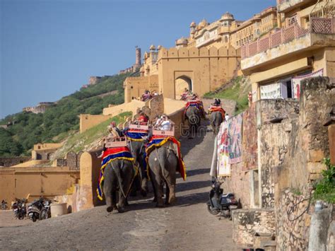 1025 Amber Fort Elephant Ride Stock Photos Free And Royalty Free Stock