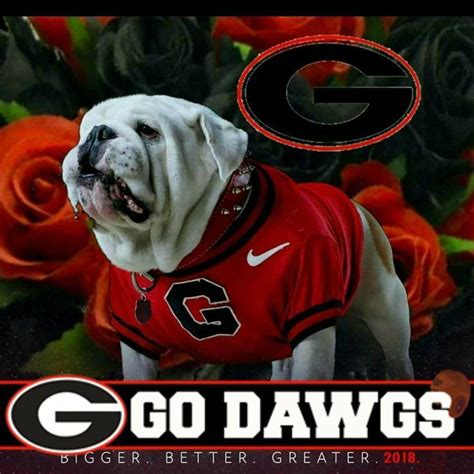 Go Dawgs Georgia Bulldog Mascot Georgia Dawgs Georgia Bulldogs