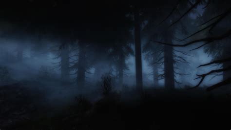 The Woods At Night By Glaceyandy On Deviantart