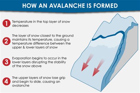 Avalanche More Complex Than Thought Snowbrains