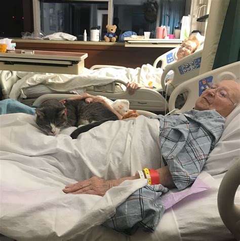 This is a hatogenous spread from a primary lesion. Blind cat keeps his beloved human company during her ...