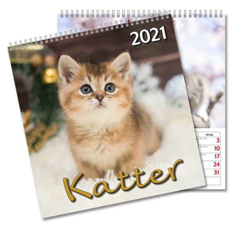 Väggkalender Katter Large 2021 Köp Almanacka Online Specialbutik