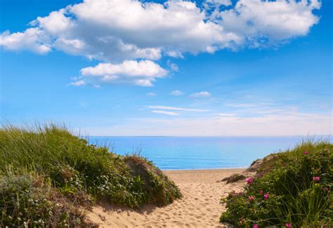 The Ultimate Cape Cod Honeymoon Planning Guide For 2023