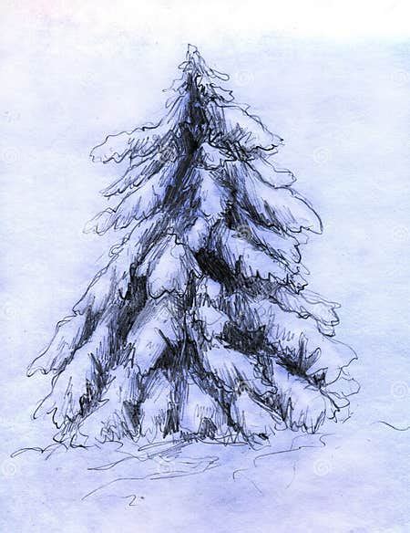 Snowy Fir Sketch Stock Illustration Illustration Of Snowy 17952306