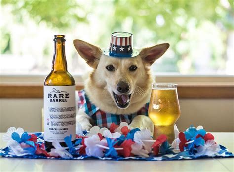 The 12 Best Beer Drinking Pets On Instagram Hop Culture
