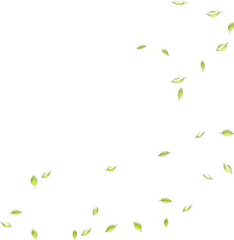 Leaves Falling Png Green This Png File Is About Spot Kress The One