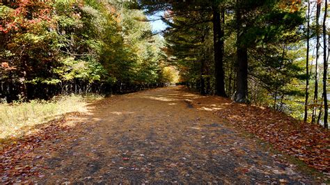 Free Images Tree Nature Forest Wilderness Trail Leaf Fall