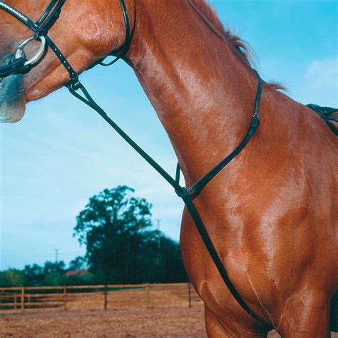 Shires Standing Martingales Uk Sports And Outdoors