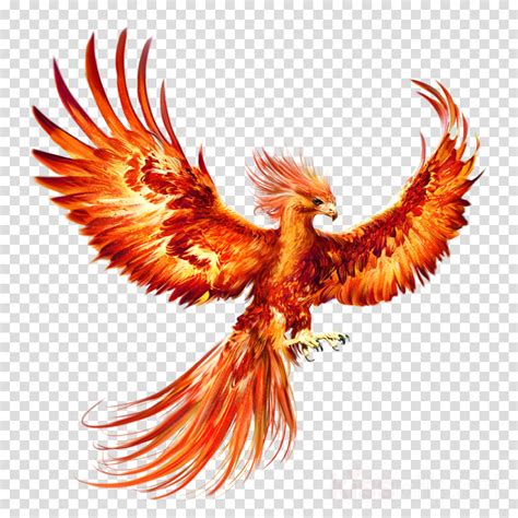 Download Phoenix Bird Phoenix Bird Art Phoenix Tattoo Design