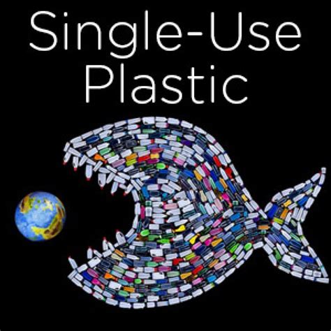 Easy Ways To Stop Using Single Use Plastic Merit Educational