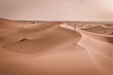 Barren Desert Dune Hot Landscape Nature Sand Sand Dunes Travel