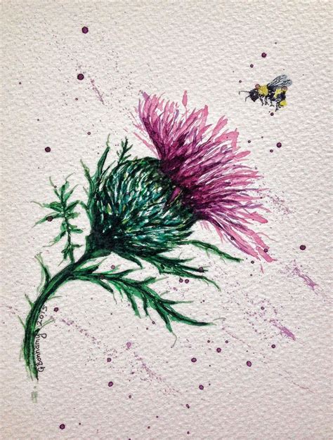 Thistles Art Watercolor Flowers Paintings Scottish Tattoos