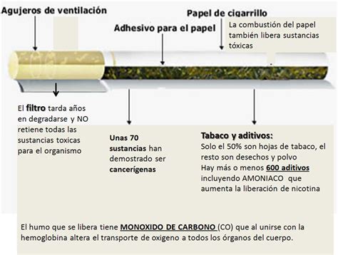 Qué Hay En Un Cigarrillo Asat Asociación Argentina De Tabacología