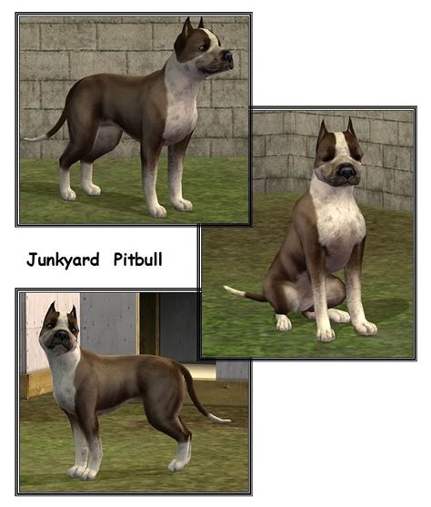 Mod The Sims 4 Junkyard Dogs