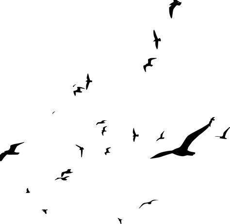 Flock Of Birds Silhouette Png Transparent Onlygfx Com