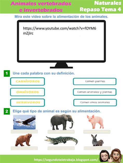 Ejercicio Online De Los Animales Para Segundo De Primaria Puedes Hacer