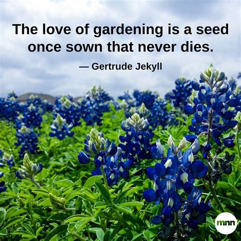 32 Inspirational Gardening Quotes