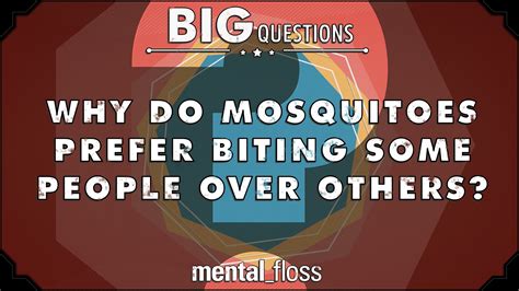 An Explanation Why Mosquitoes Prefer To Bite Some People More Than Others