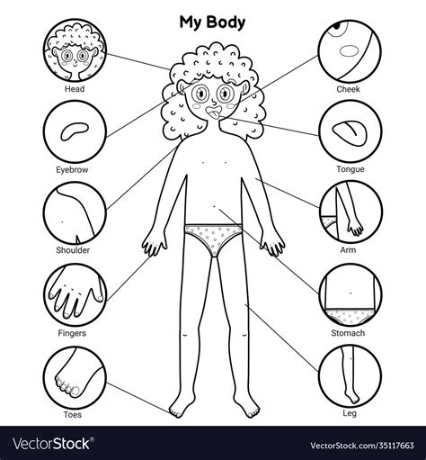 My Body Parts Black And White Educational Poster Vector Image