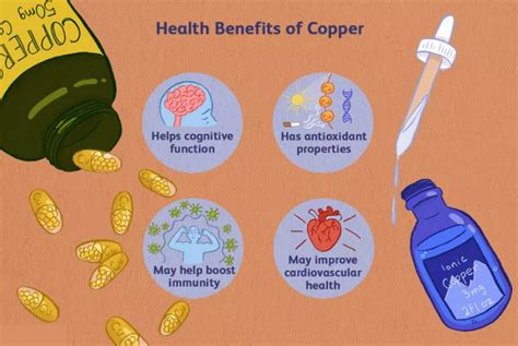 A Brief Guide On Copper Supplement Health Benefits Uses Side Effects