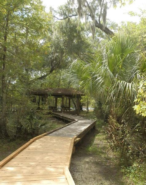 9 Easy Hikes To Add To Your Outdoor Bucket List In Florida Bay Area