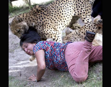 A popular twitter cow momma handle posted the photo asking who the sikh person is leave a comment on dangerous animal attacks on humans compilation (video). 21 Shocking Animal Attacks On Human