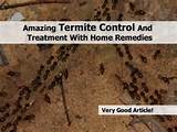 Termite Control Home Remedy