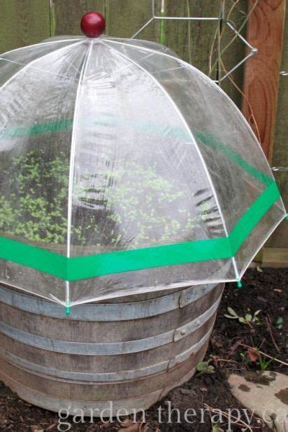 It should note in the product description that it is greenhouse plastic. 18 DIY Backyard Greenhouses - How to Make a Greenhouse