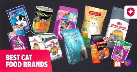 Top 10 Best Cat Food Brands In Malaysia 2022 Dry And Wet