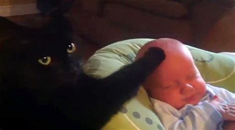 We did not find results for: Watch How This Nurturing Cat Soothes A Crying Baby To Sleep