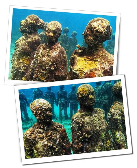 Diving The Molinere Underwater Sculpture Park Grenada Sue Where Why What
