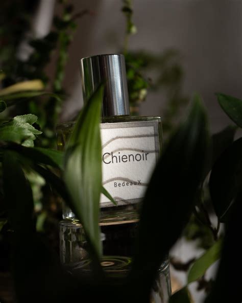 Chienoir Bedeaux Perfume A Fragrance For Women And Men 2017