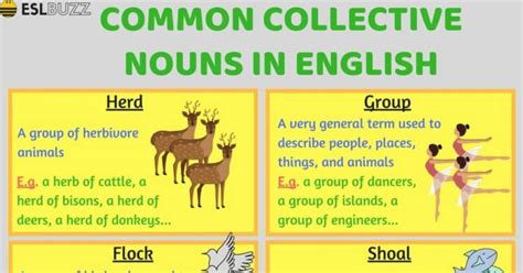 Common Collective Nouns In English Eslbuzz Learning English English