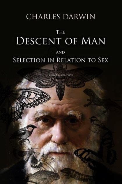 The Descent Of Man And Selection In Relation To Sex With Illustrations By Charles Darwin