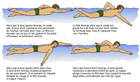Des Vies La Natation Sports Health Fun Workouts Water Exercises