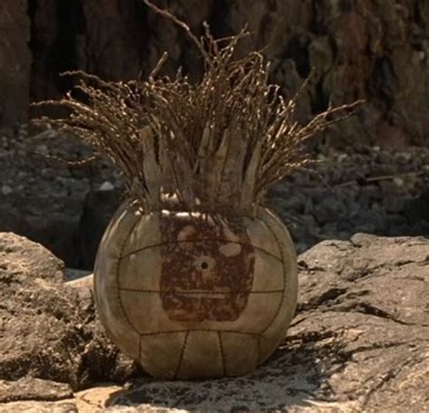 What Tom Hanks Volleyball Wilson Looks Like Now As Castaway Turns 15