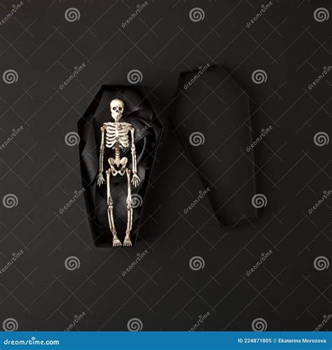Toy Skeleton Of Man In Papercraft Coffin On Black Background Stylish